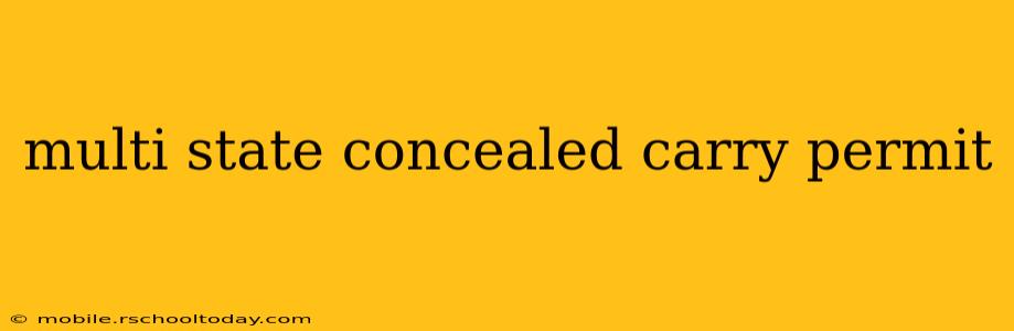 multi state concealed carry permit