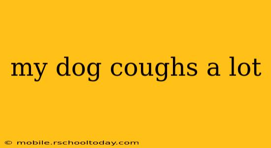 my dog coughs a lot