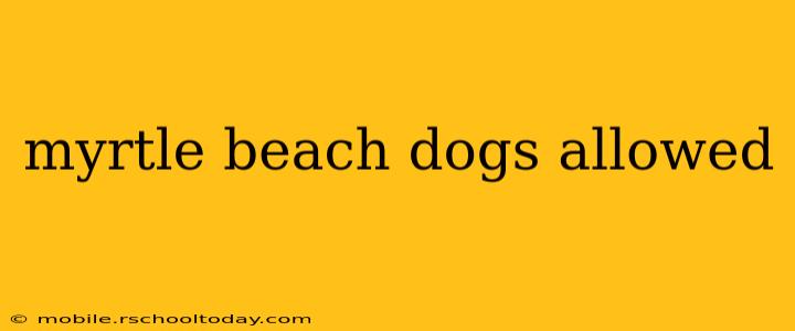 myrtle beach dogs allowed