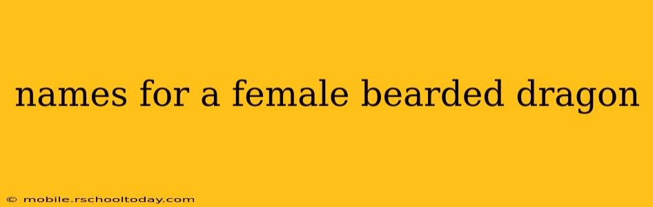names for a female bearded dragon
