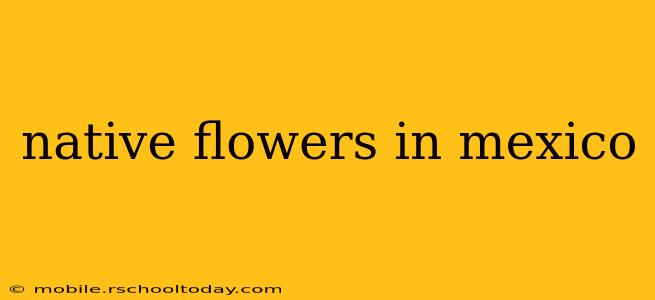 native flowers in mexico