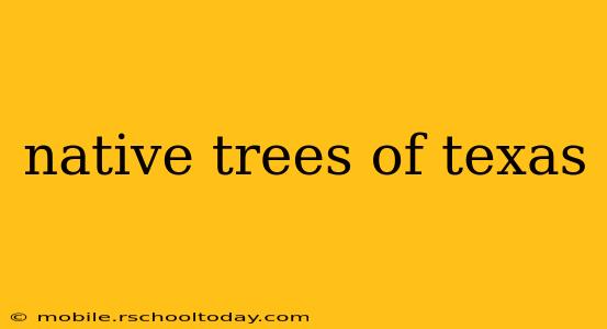 native trees of texas