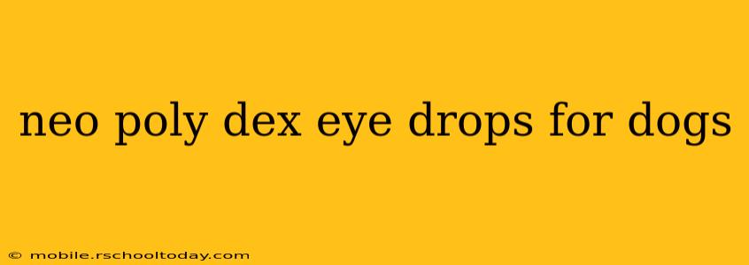 neo poly dex eye drops for dogs
