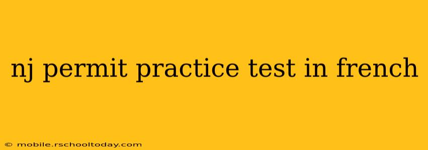 nj permit practice test in french