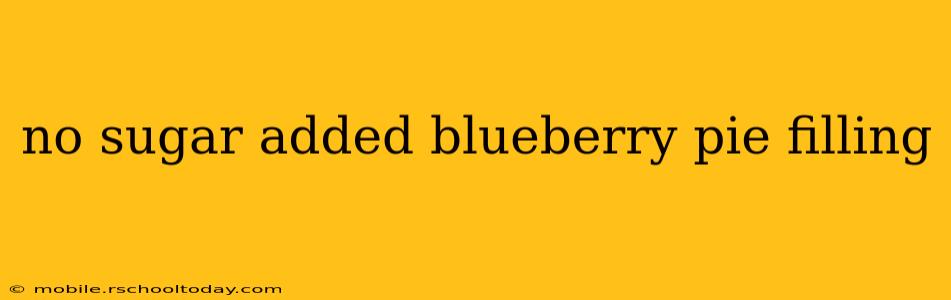 no sugar added blueberry pie filling