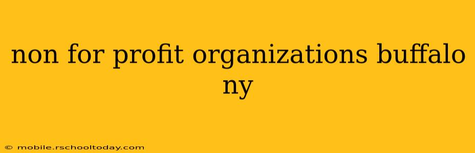 non for profit organizations buffalo ny