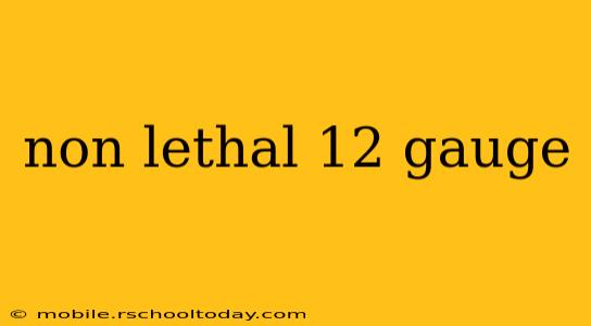non lethal 12 gauge