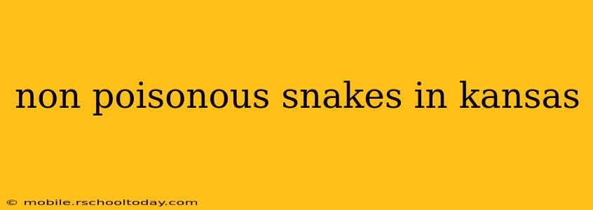 non poisonous snakes in kansas