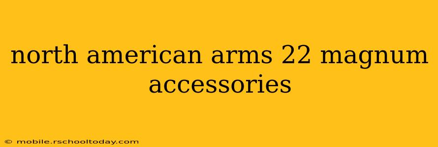 north american arms 22 magnum accessories