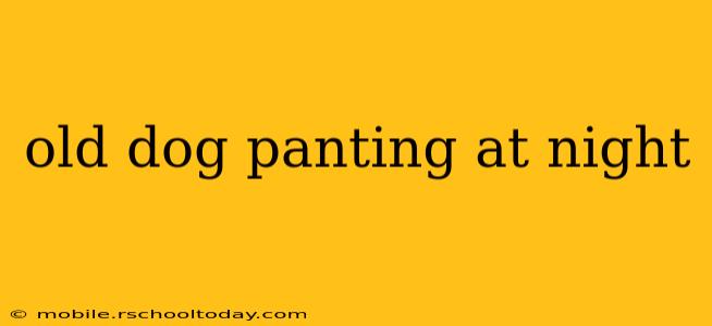old dog panting at night
