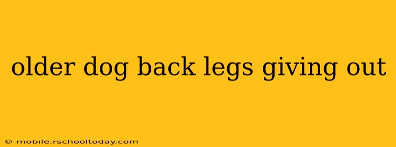 older dog back legs giving out