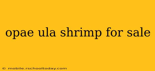opae ula shrimp for sale