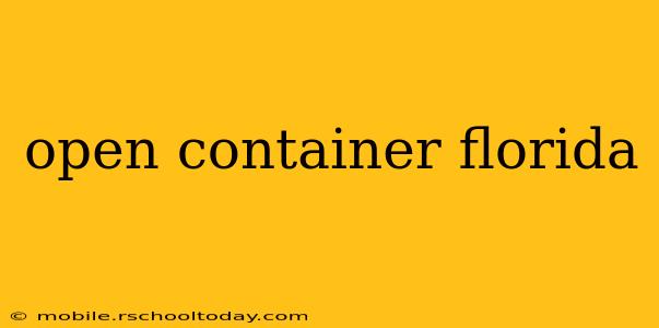 open container florida