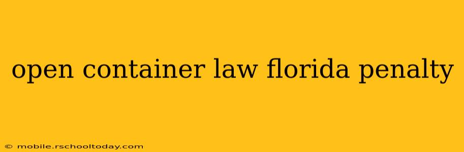 open container law florida penalty