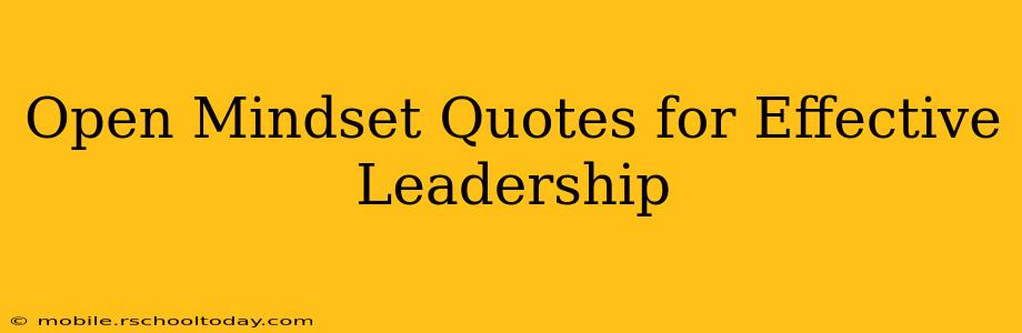 Open Mindset Quotes for Effective Leadership