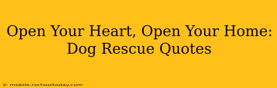 Open Your Heart, Open Your Home: Dog Rescue Quotes