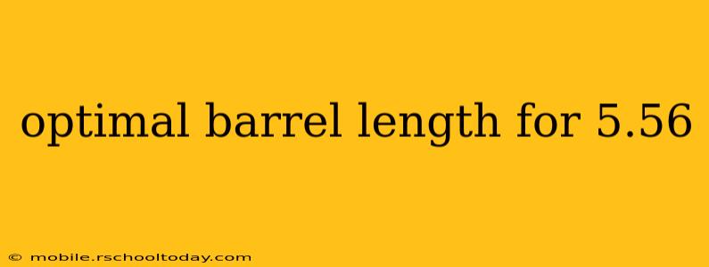 optimal barrel length for 5.56