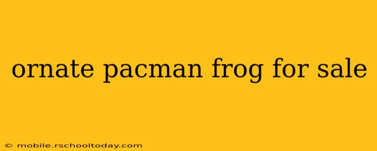 ornate pacman frog for sale