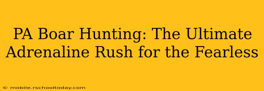PA Boar Hunting: The Ultimate Adrenaline Rush for the Fearless