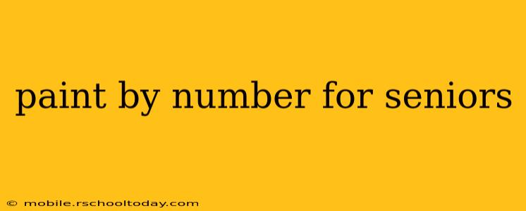 paint by number for seniors
