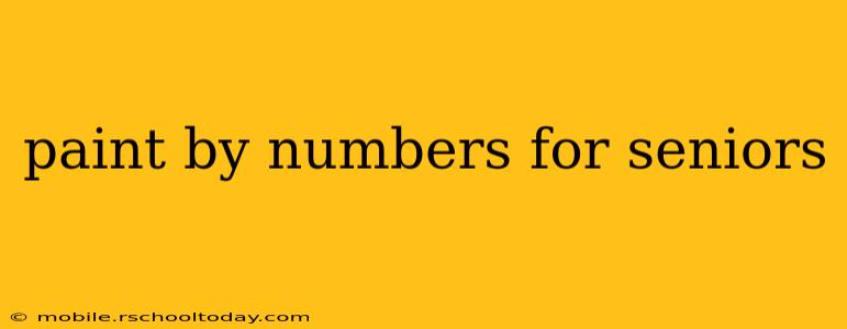 paint by numbers for seniors
