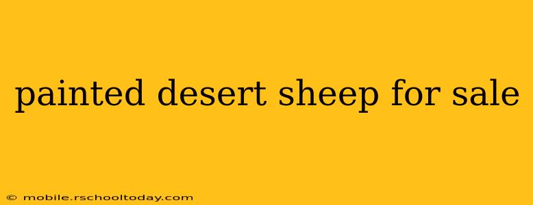 painted desert sheep for sale