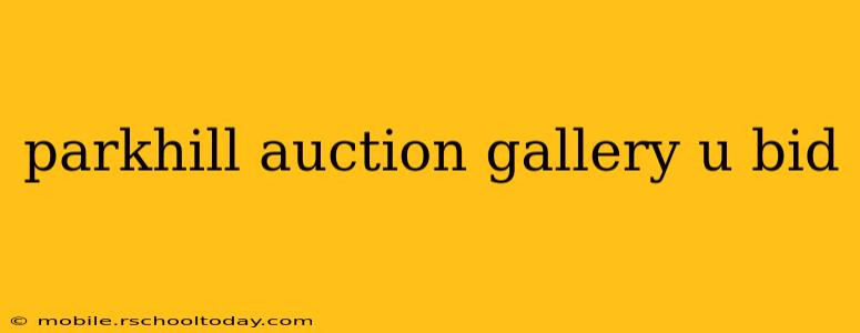 parkhill auction gallery u bid