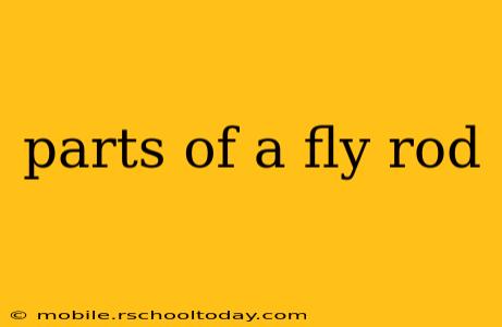 parts of a fly rod