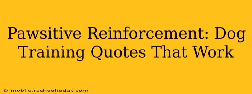 Pawsitive Reinforcement: Dog Training Quotes That Work
