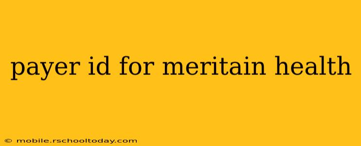 payer id for meritain health