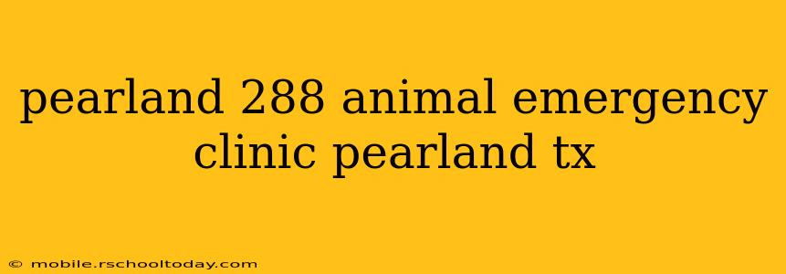 pearland 288 animal emergency clinic pearland tx