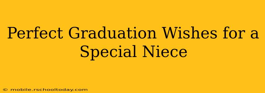 Perfect Graduation Wishes for a Special Niece