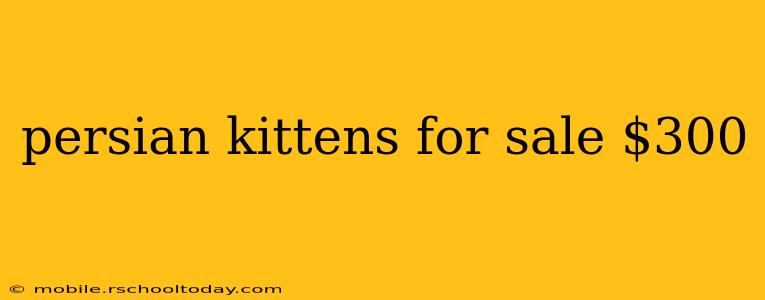 persian kittens for sale $300