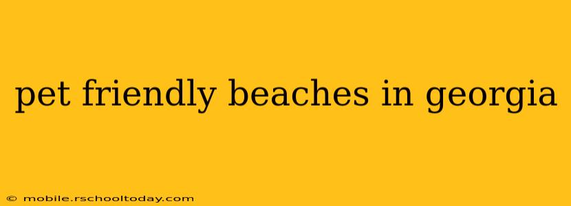 pet friendly beaches in georgia