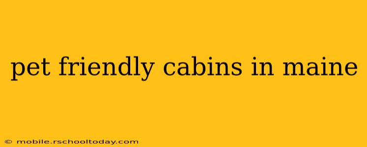 pet friendly cabins in maine