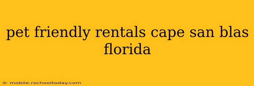 pet friendly rentals cape san blas florida