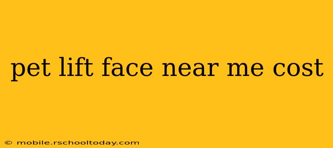 pet lift face near me cost