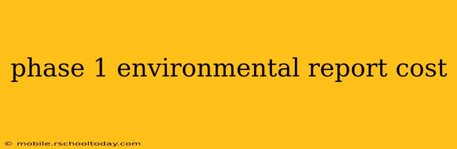 phase 1 environmental report cost