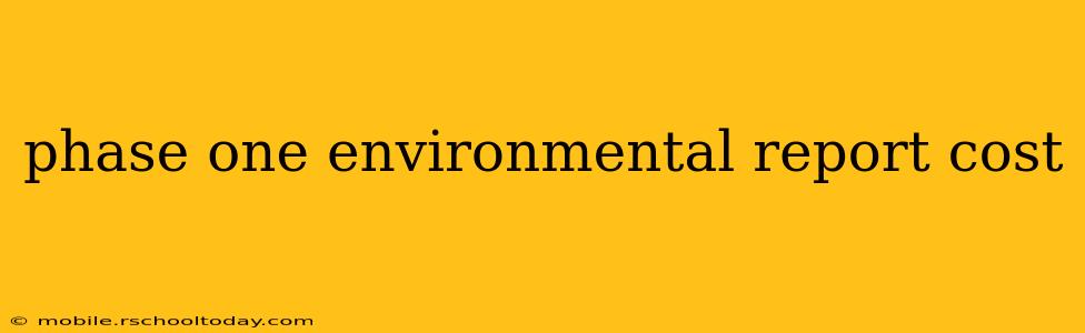 phase one environmental report cost
