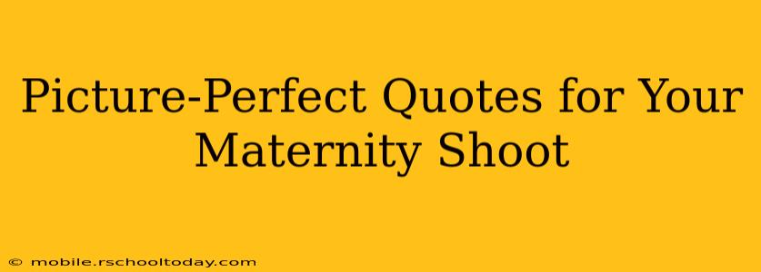 Picture-Perfect Quotes for Your Maternity Shoot