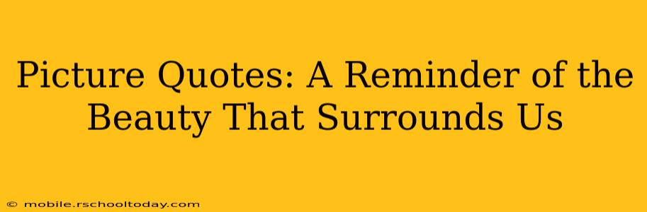 Picture Quotes: A Reminder of the Beauty That Surrounds Us