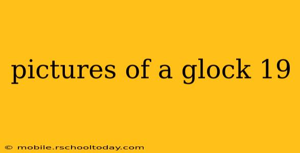 pictures of a glock 19