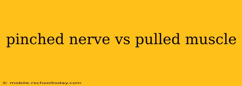 pinched nerve vs pulled muscle