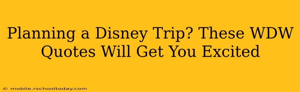 Planning a Disney Trip? These WDW Quotes Will Get You Excited
