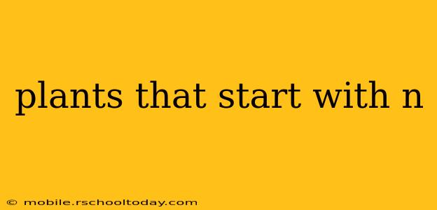 plants that start with n