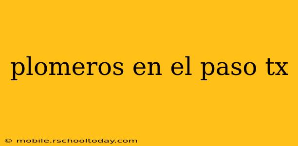 plomeros en el paso tx