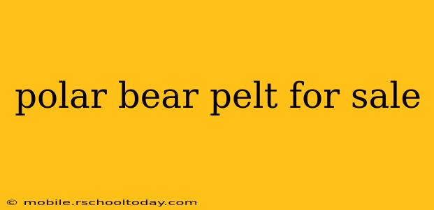 polar bear pelt for sale