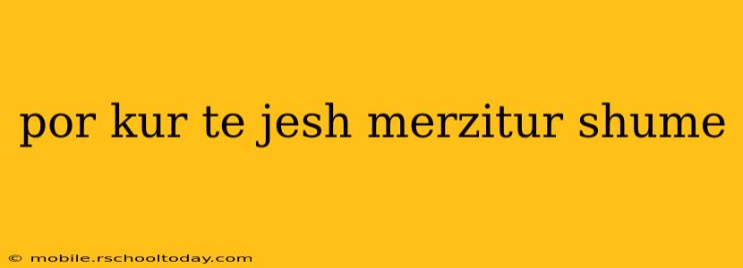 por kur te jesh merzitur shume