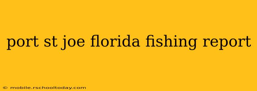 port st joe florida fishing report