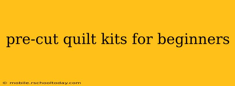 pre-cut quilt kits for beginners